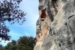IMG-20250331-WA0008