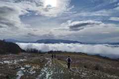 IMG-20260201-WA0049